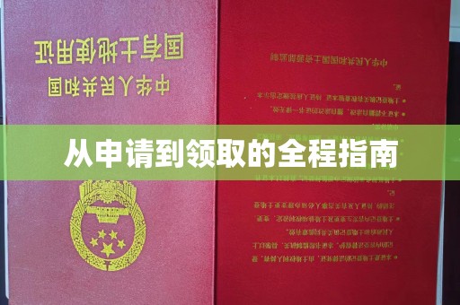 赵县从申请到领取的全程指南