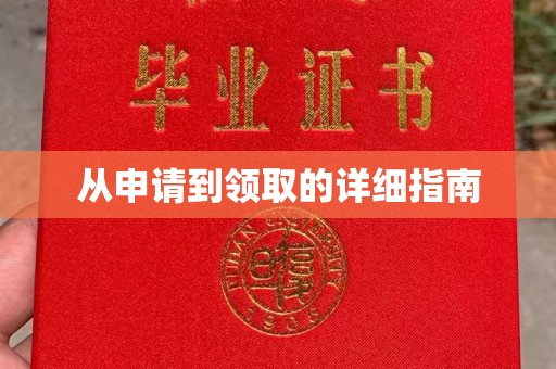 赵县从申请到领取的详细指南
