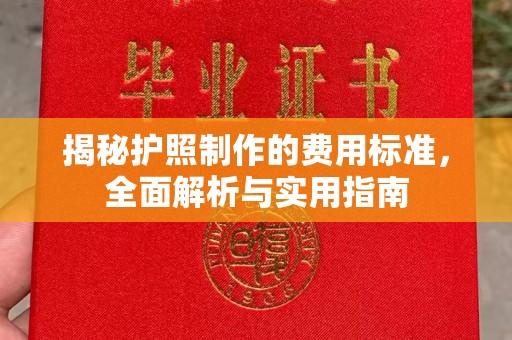赵县揭秘护照制作的费用标准，全面解析与实用指南