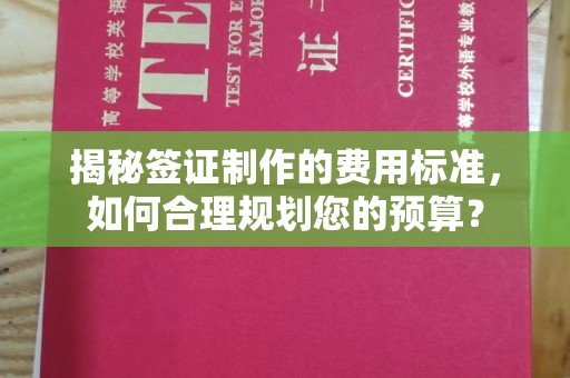 赵县揭秘签证制作的费用标准，如何合理规划您的预算？