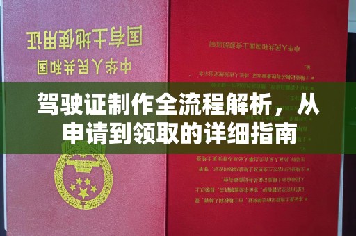 赵县驾驶证制作全流程解析，从申请到领取的详细指南